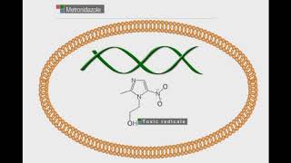 Metronidazole animation video [upl. by Musetta]