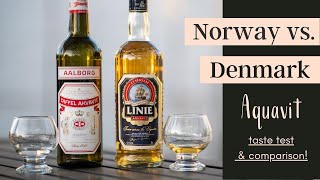 What Does Aquavit Taste Like  AQUAVIT TASTE TEST [upl. by Palgrave428]