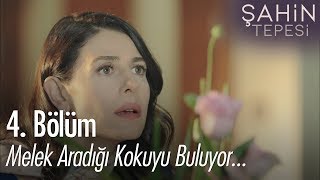 Melek aradığı kokuyu buluyor  Şahin Tepesi 4 Bölüm [upl. by Oralla]