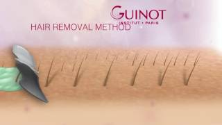 Animation GUINOT Method Epilation 2016 [upl. by Duvall]