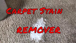 DIY Carpet Cleaning Solution For Pet Stains [upl. by Plusch]