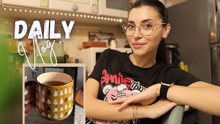 Daily Vlog  Decoratiuni Auchan de CRACIUN  2 CANI superbe💥 Ordine in bucatarie si o surpriza🥹 [upl. by Veronike434]