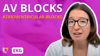 Atrioventricular Blocks AV Blocks  EKG Interpretation  LevelUpRN [upl. by Nnyrat]