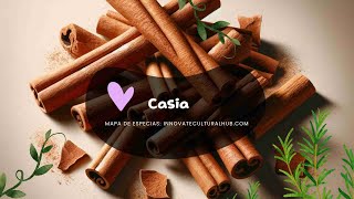 Cinnamomum cassia [upl. by Tarr]