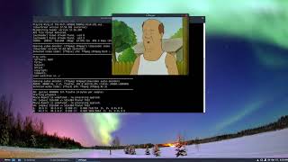 How To Play Video From The Terminal In Linux With Mplayer [upl. by Inaluahek620]