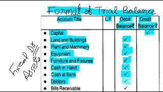 format of trial balancetrial balance format in Hindi and Englishtrial balance format [upl. by Eceirehs]