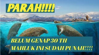 BARU DITEMUKAN LANGSUNG PUNAH KURANG DARI 30 TAHUN [upl. by Howarth424]