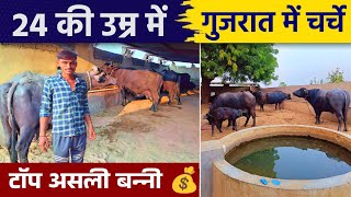 लाखों में 💰मांग है इन बन्नी भैंसो की20 लीटर दूध । Top Class Banni Buffalo in Banaskantha [upl. by Sigmund]