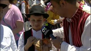 Romería de San Marcos  Tegueste 2019 [upl. by Eniretac]