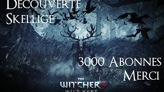 The Witcher 3 découverte de Skellige 3000 abonnés ULTRA [upl. by Blainey]