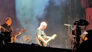 Anche i migliori sbagliano David Gilmour liveCirco Massimo In any tongue [upl. by Stormy]