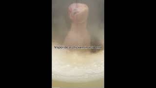 Vaporizing a chicken in acid 🤯 [upl. by Ayotal150]