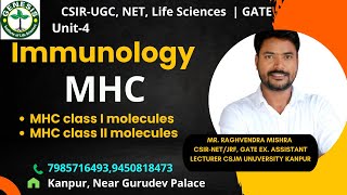 Major Histocompatibility Complex  MHC class I amp class II molecules  Immunologygenesisinstitute [upl. by Verile]