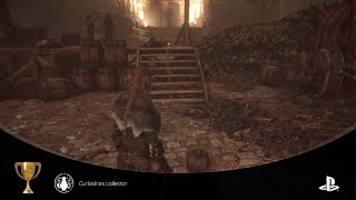 Curiosities Collector  A Plague Tale Innocence PS5 [upl. by Isaacson]