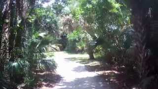 Walking Around Caloosahatchee Regional Park in Alva Florida [upl. by Inafets347]