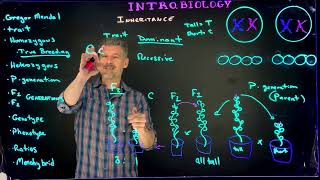 Mendelian Genetics Terms and Overview [upl. by Aem]