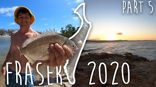 Fishing off WADDY POINT  Fraser Trip 2020 Part 5 [upl. by Eisdnil]