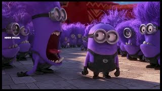 Despicable Me  Purple Minion funny moments Hd [upl. by Refanej]