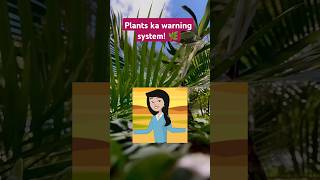 PLANTS KA WARNING SYSTEM natureshorts youtubeshorts viralvideo [upl. by Bulley403]