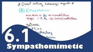 PharmaNotes Sympathomimetic Part I [upl. by Mailiw]