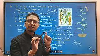 CEE 2081 MEMORY BASED QUESTIONS Part 12 UNIT DEVELOPMENTAL AND APPLIED BOTANY [upl. by Marlee]