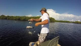 Tarpon are Leprechans [upl. by Jayson439]