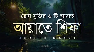 Ayat E Shifa Beautiful Recitation  আয়াতে শিফা  রোগ মুক্তির ৬ টি কুরআনের আয়াত  Sheikh Masud [upl. by Mak982]