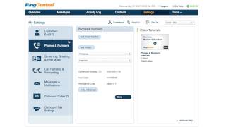 RingCentral Users Overview [upl. by Oeram11]