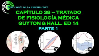 GUYTON amp HALL CAP 38 VENTILACION PULMONAR  PARTE 1 [upl. by Boles]