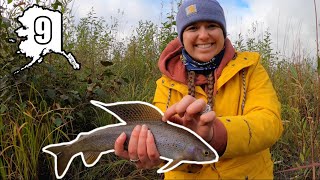 Fairbanks Arctic Grayling Fishing  ALASKA DAY 9 [upl. by Navap]