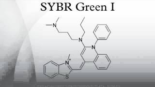 SYBR Green I [upl. by Jacobsohn]