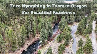 Eastern Oregon  Euro Nymphing for Beautiful Rainbows [upl. by Ettenahc]