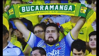 El sentimiento de ser hincha del bucaramanga [upl. by Noakes345]