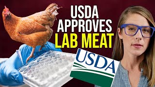 USDA approves lab grown meat  Texas Slim amp The Beef Initiative [upl. by Doralin]