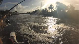 Boynton Spillway Snook Fishing [upl. by Enilrek]