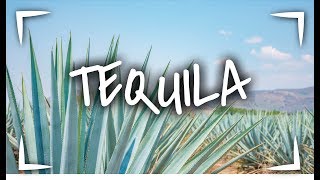 TEQUILA JALISCO 🥃 ► 3 LUGARES que debes VISITAR📍  VLOG SINPOSTAL [upl. by Barbabas687]