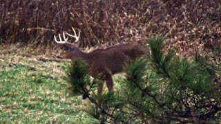 DEER HUNTING BUCK DOWN 2023 Pennsylvania Rifle Season  Jacobs First Whitetail Buck AWESOME HUNT 🦌 [upl. by Eseuqram596]