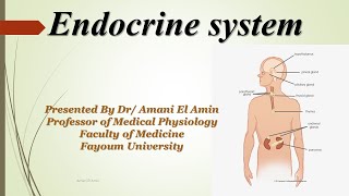 Endocrine control of calcium metabolism part I [upl. by Beghtol960]