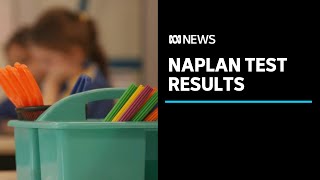 NAPLAN test results chart gender gaps and COVID impacts  ABC News [upl. by Zebadiah]