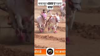 Bakasur 6300 s pakshi 1010 गट पास marathi prokabaddi music song player shorts [upl. by Sidwohl]