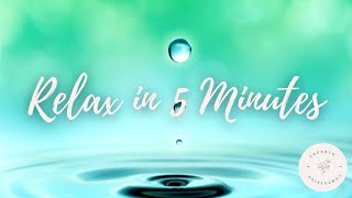 Relax in 5 Minutes  5 Minute Progressive Muscle Relaxation [upl. by Aitrop]