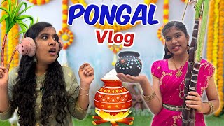 😍ENGA VEETU பொங்கல் CELEBRATION🌾🔥 Family Pongal Vlog😜  Ammu Times [upl. by Atelahs]