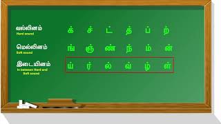 Vallinam Mellinam Idaiyinam MeiEzhuthukkalமெய் எழுத்துக்கள்வல்லினம் மெல்லினம் இடையினம் [upl. by Combs720]