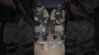 CARTEL DEL NORESTE SUCESORES DE LOS ZETAS🇲🇽☠️ shorts mexico military narcos facts [upl. by Holmen]