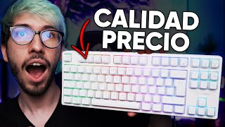 Teclado VSG Alnitak TKL CALIDADPRECIO mecánico TKL [upl. by Irtimid176]