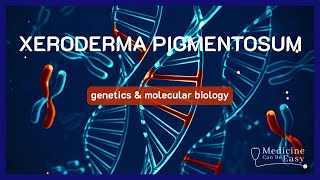 The Genetics behind Xeroderma Pigmentosum  NOTES [upl. by Anauqahs511]