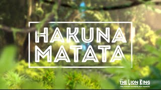 Hakuna Matata  Disneys THE LION KING Official Lyric Video [upl. by Krakow]