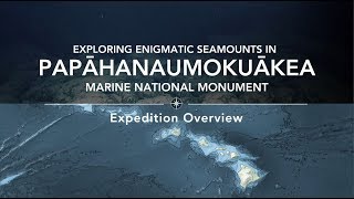 Expedition Overview Exploring Enigmatic Seamounts in Papahānaumokuākea  Nautilus Live [upl. by Preciosa]