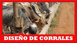 🔴 CONSEJOS para GANADEROS Diseño de CORRALES ✅ Curso de Ganaderia Bovina [upl. by Adolph]