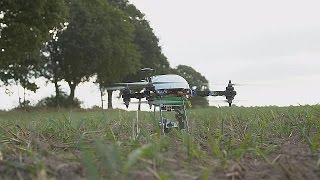 Technologie  des drones au service des agriculteurs  hitech [upl. by Talley]